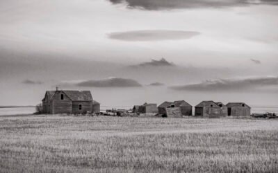 January 27 – Exploring an Old farmstead