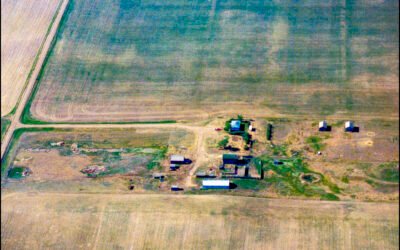 Feb 1 – The old farmstead