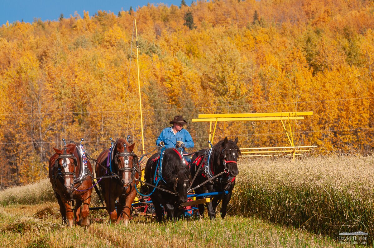 Four Horse Power
