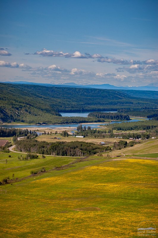 View of the Peace River Valley from a Highway 29 lookout in 2006, showing lush terrain that is now submerged due to the Site C dam project.