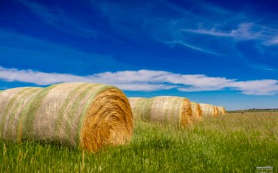 Better late than never