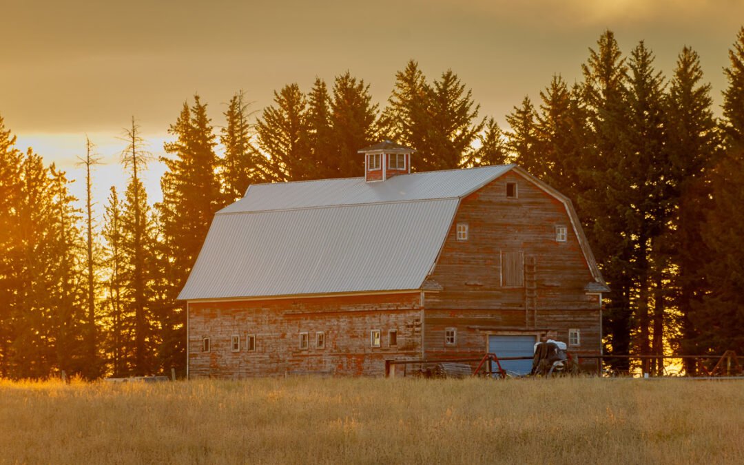 Southern Alberta Photo Tours